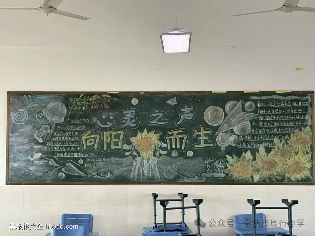 心灵之声，向阳而生主题黑板报-第3张