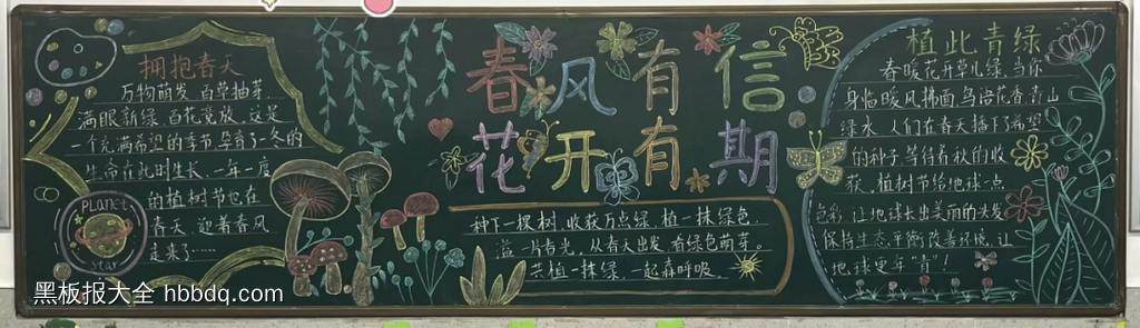 3.12——植此青绿主题黑板报-第2张