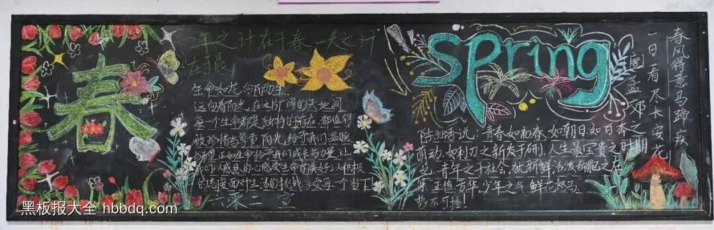 春花灿烂——未来可期-第3张