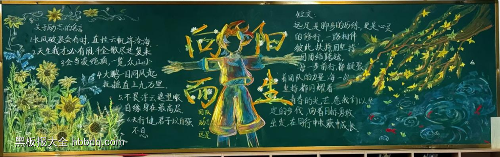 向阳而生，携手共进主题黑板报-第1张
