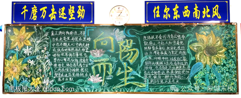 向阳而生，拒绝阴霾主题黑板报-第3张