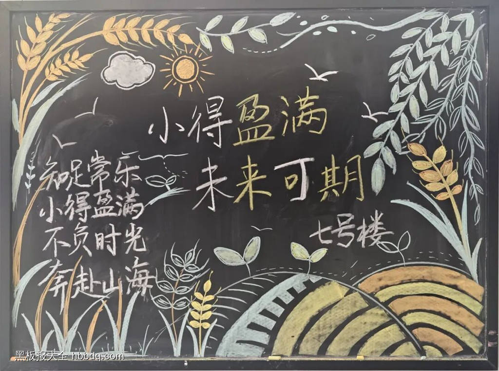 小满主题黑板报-第4张