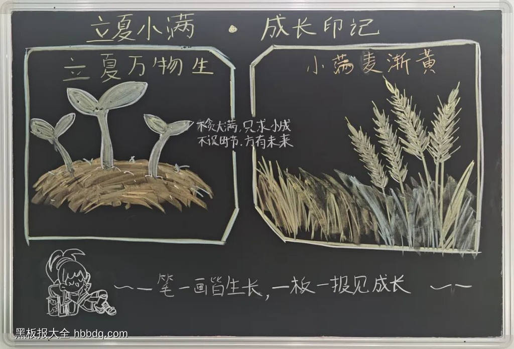 小满主题黑板报-第3张