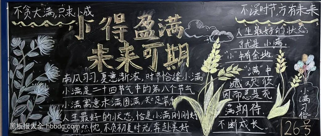 小满，未来可期主题黑板报-第5张