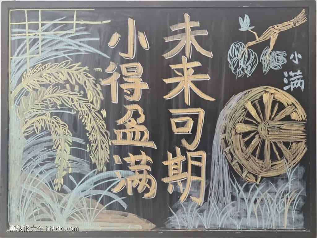 小满主题黑板报-第5张