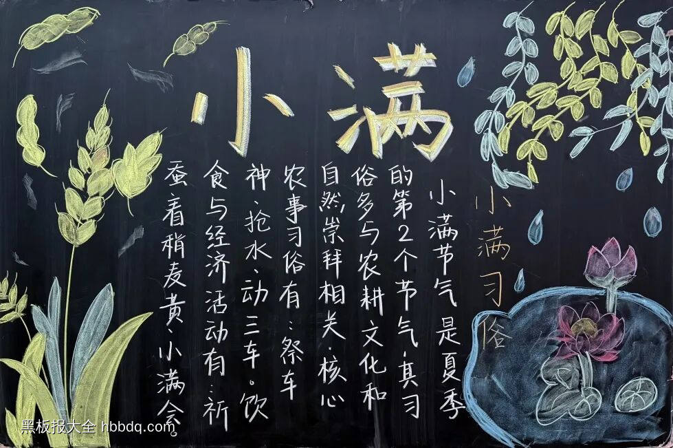 小满主题黑板报-第7张