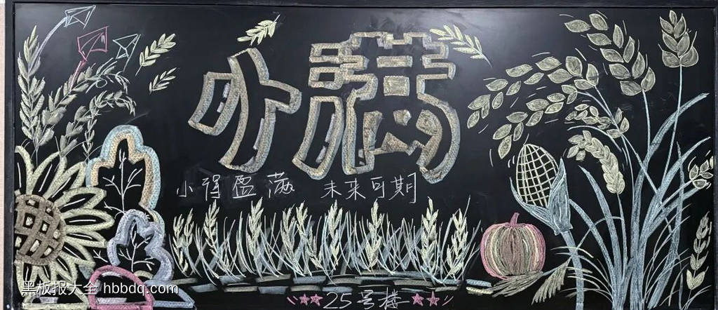小满，未来可期主题黑板报-第4张