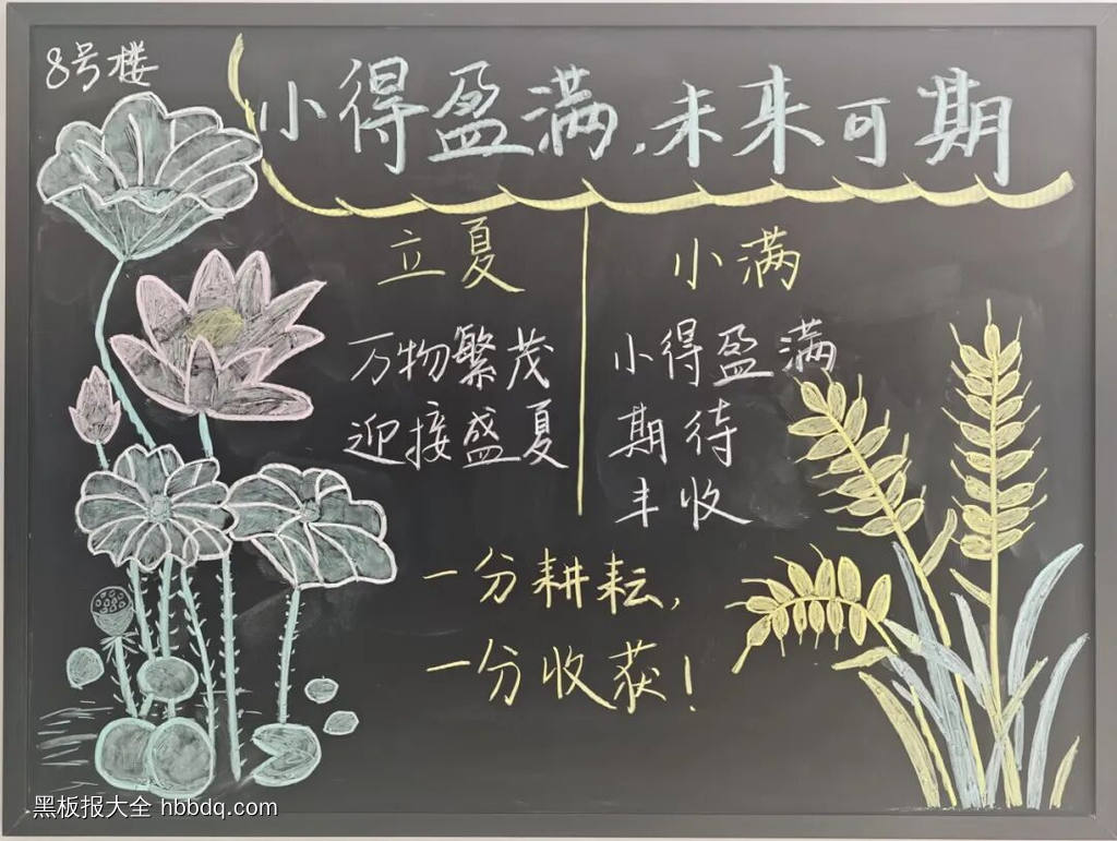 小满主题黑板报-第6张