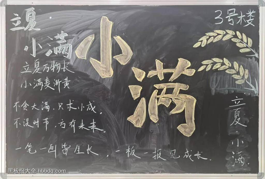 小满主题黑板报-第2张